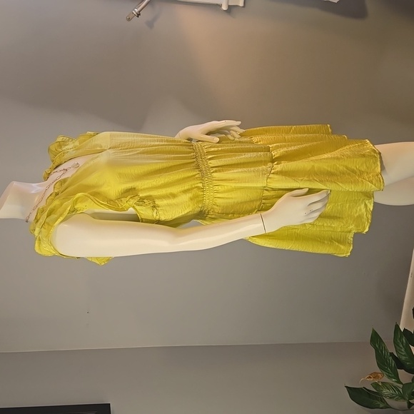 Steve Madden Prairie Dreams Golden Lime Ruffled Mini Dress Size L - Picture 2 of 13